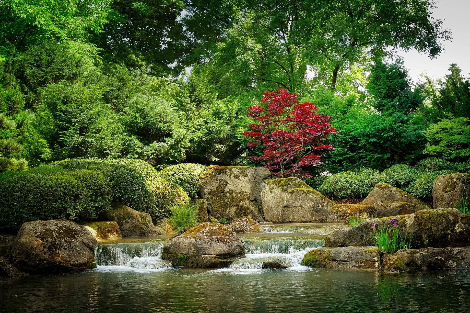 Bellevue Botanical Garden