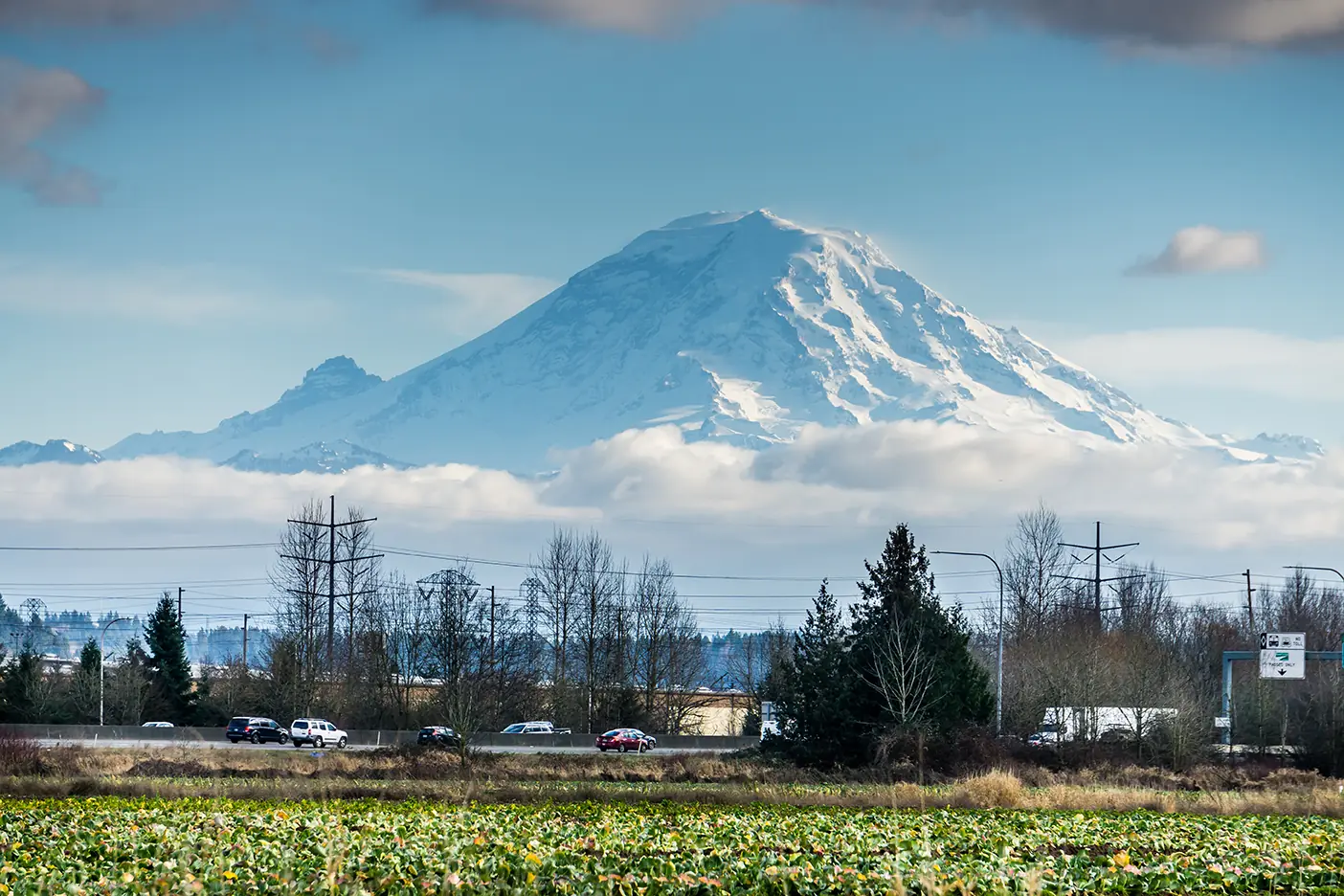 Snowy mountain over Auburn WA fields with a highway and trees.