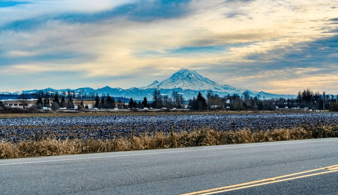 Fields with Mount Rainier in the distance, a road in the foreground, and a cloudy sky.
