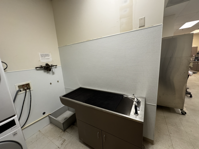 pet washing station relocation plumbing installation veterinary clinic Seattle