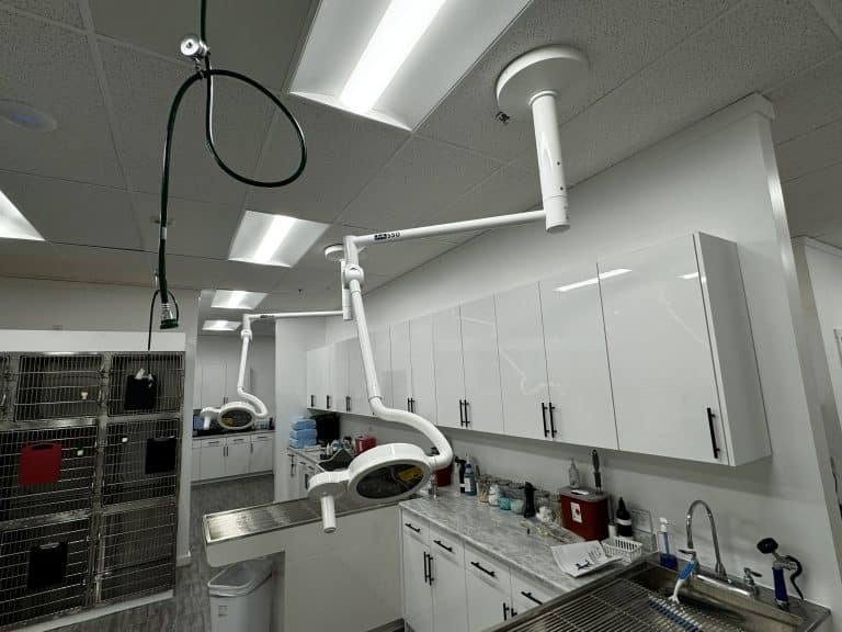 Commercial lighting installation for veterinary clinic in Seattle area by YSG Construct