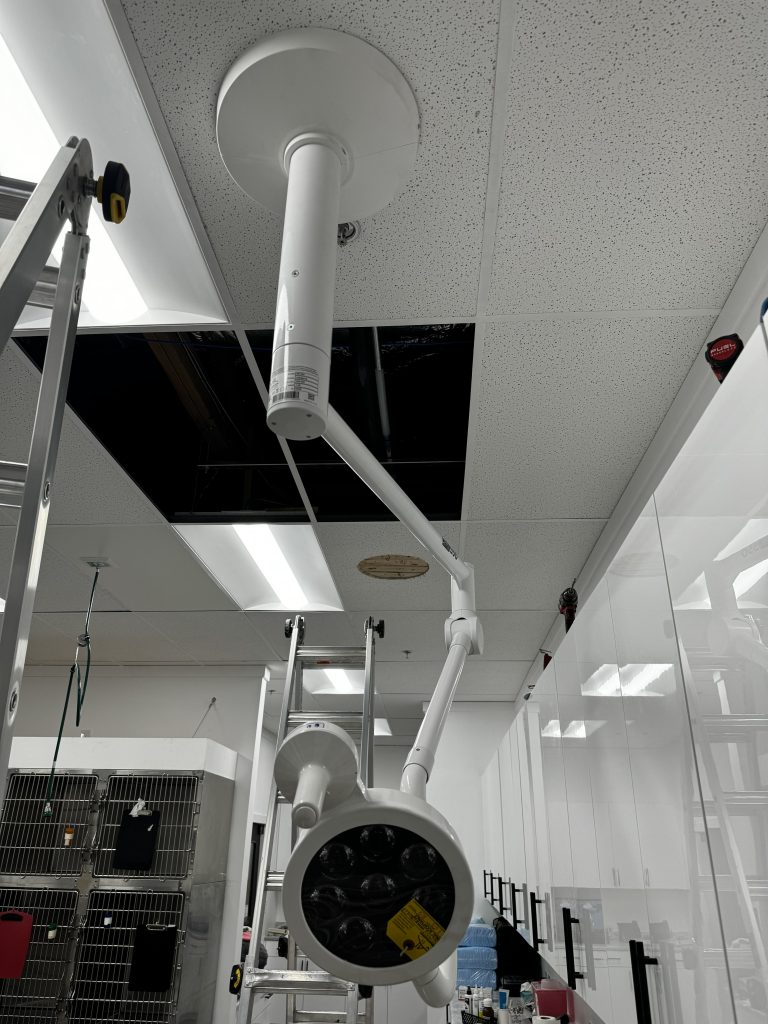veterinary clinic surgical treatment light installation seattle
