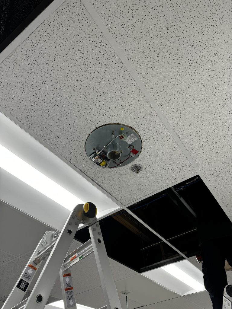 commercial ceiling light installation for veterinary clinic seattle area