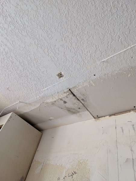 Mold growth on a kitchen ceiling from a roof leak in Bothell — water damage cleanup by YSG Construct