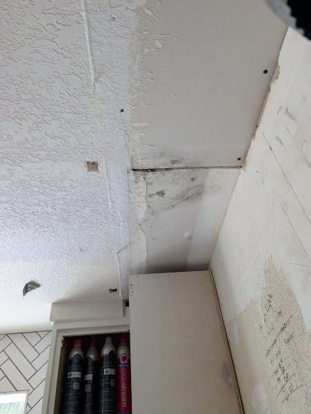 Opened ceiling corner with water staining and mold in a Bothell kitchen
