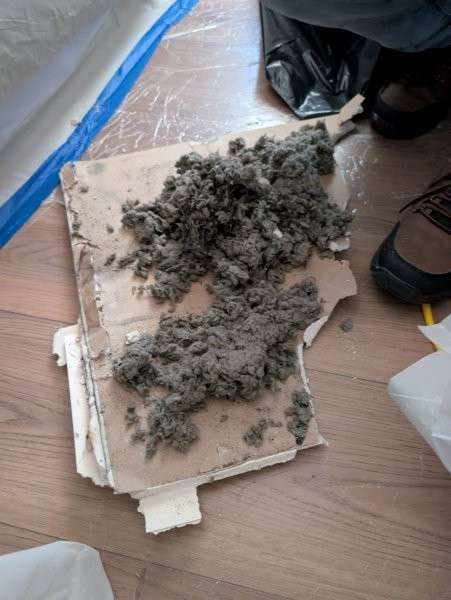 Removed ceiling material with microbial growth during a Bothell water damage job