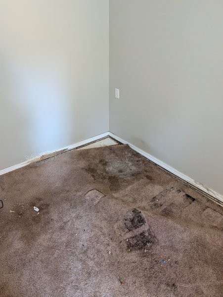Stained basement carpet in a corner affected by moisture — water damage restoration in Brier, WA by YSG Construct