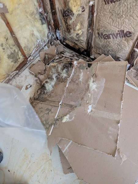 Torn, moldy drywall removed from a basement wall — water damage restoration in Brier, WA by YSG Construct