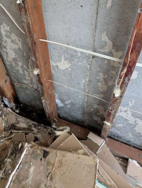 Opened basement wall exposing concrete and framing — water damage restoration in Brier, WA by YSG Construct