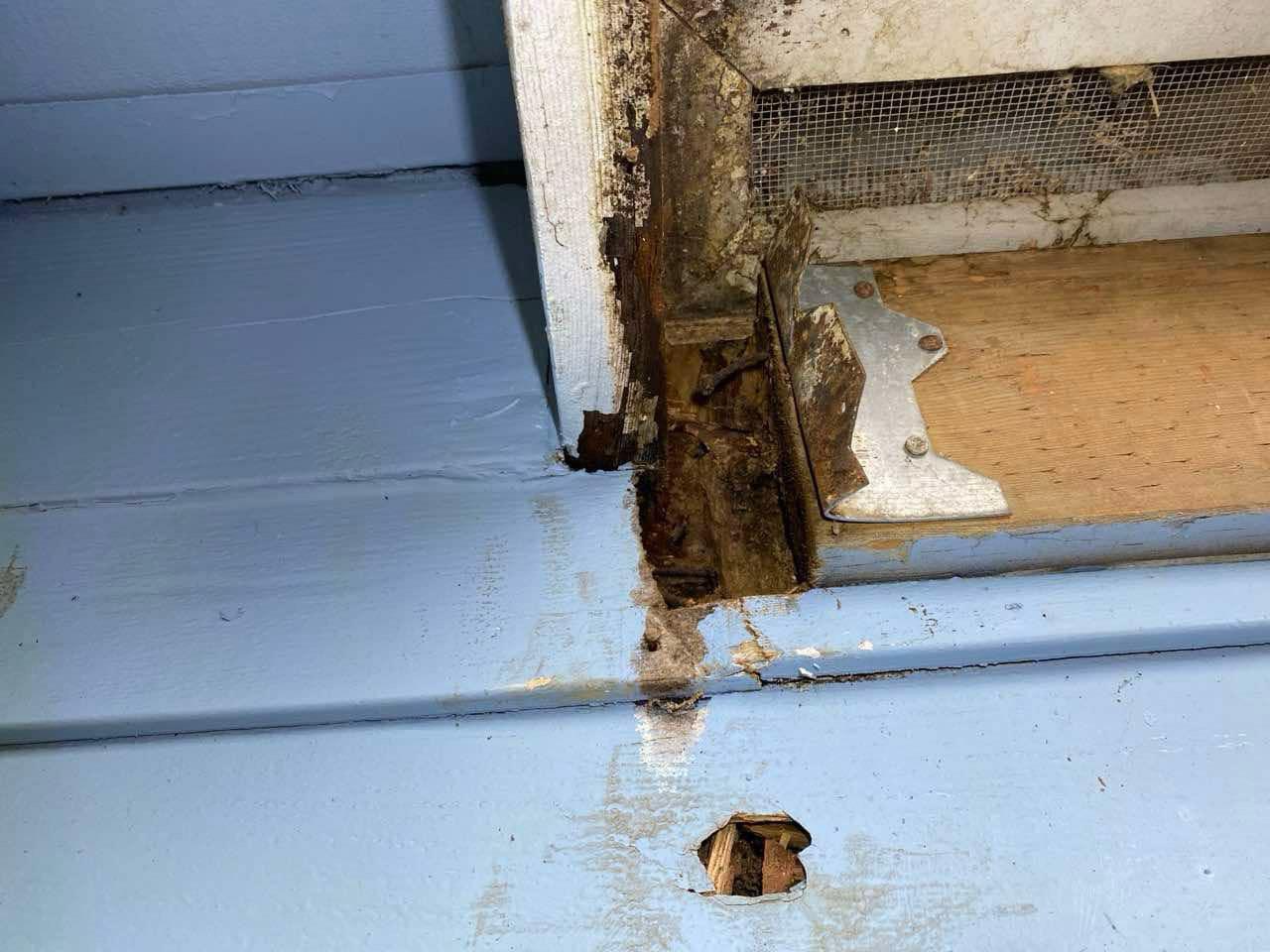 Close-up of rotted window sill and termite-damaged framing corner in Redmond home